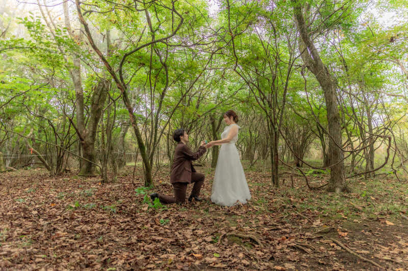 森の中でのプロポーズシーン