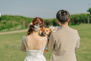 ワンちゃんもおめかし♪城ヶ島での前撮り撮影！