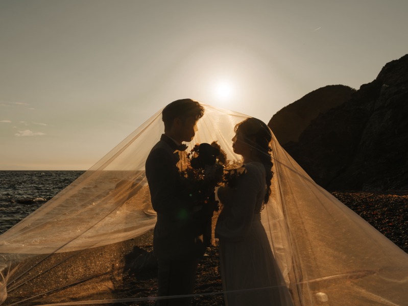 シルエットとベール