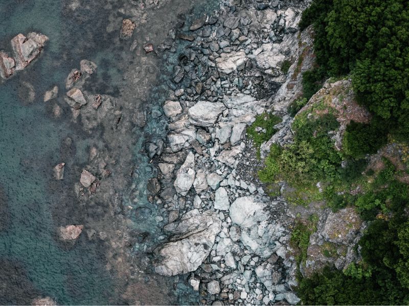 プロの技術で精密な撮影を!