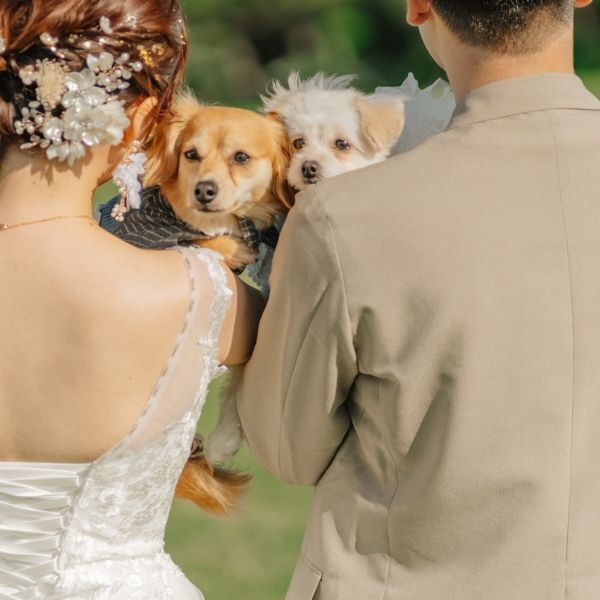 Rele Wedding_ペットと一緒に撮影できる