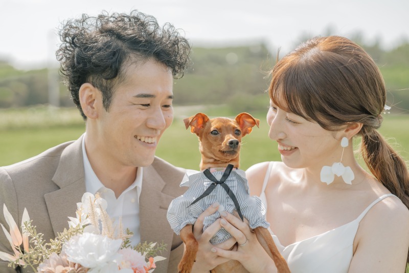 おめかしした愛犬が尊すぎる...!