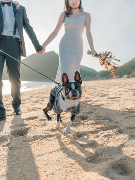 Rele Wedding_ペットと一緒に撮影できる