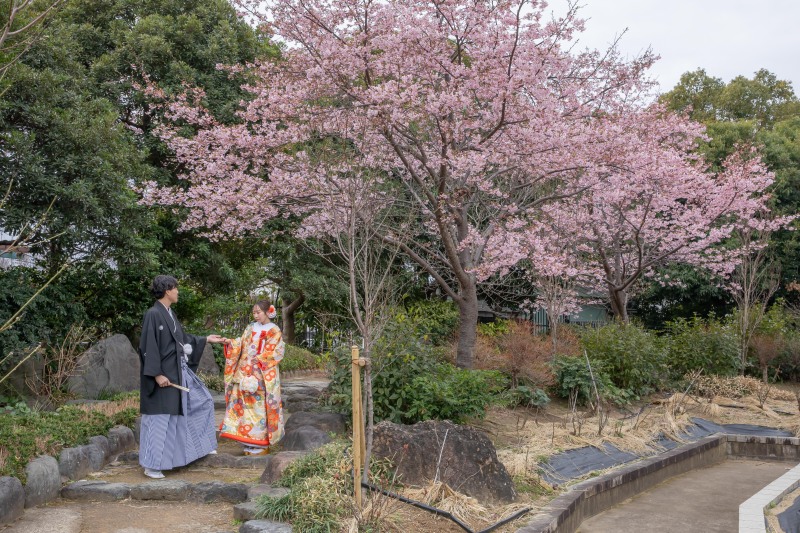 大仙公園での桜ロケーション撮影レポート