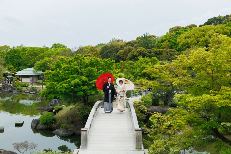 新緑が綺麗な時期