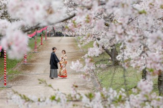 華雅苑 大阪店_PICKUP！大阪城の和装【桜】撮影