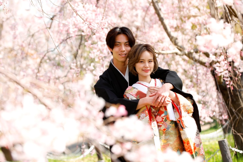 お得なプランをご用意しています