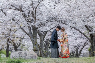 華雅苑 大阪店_PICKUP！大阪城の和装【桜】撮影