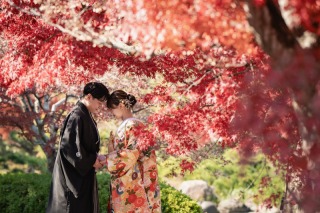華雅苑 大阪店_紅葉の大仙公園【11月中旬~12月上旬】