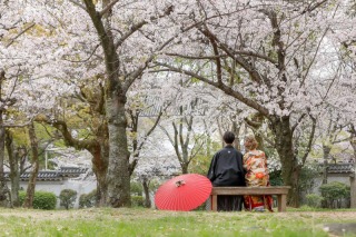 華雅苑 大阪店_PICKUP！大阪城の和装【桜】撮影