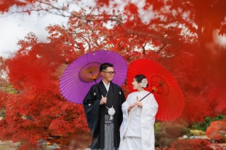 華雅苑 大阪店_紅葉の大仙公園【11月中旬~12月上旬】