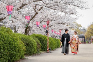 華雅苑 大阪店_PICKUP！大阪城の和装【桜】撮影