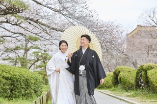 華雅苑 大阪店_PICKUP！大阪城の和装【桜】撮影