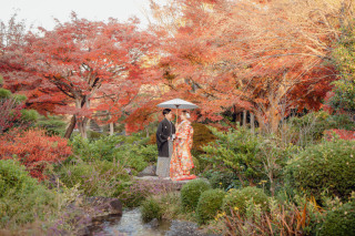 華雅苑 大阪店_紅葉シーズン