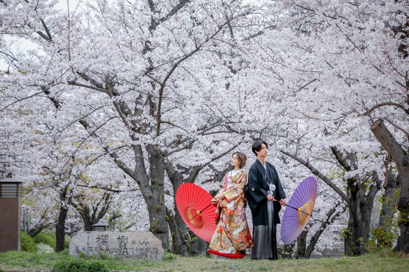 【桜割り！】3/25～4/5撮影【大阪城】とスタジオで撮影★和装弐点衣裳２着（差額無し）・撮影データ200枚