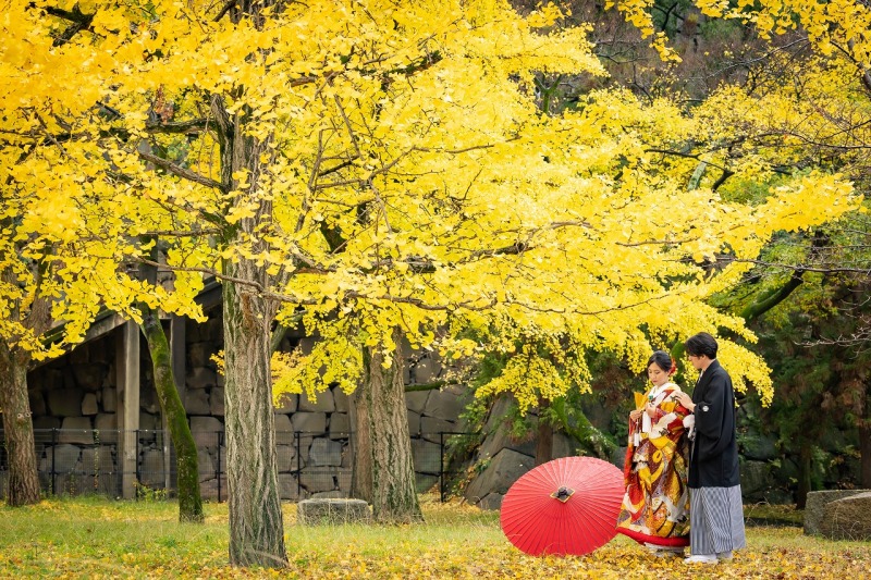 紅葉キャンペーン！！12/15迄の撮影★新婦衣裳２着【紅葉大阪城とスタジオで撮影】・データ100枚付※衣装差額なし72,000円