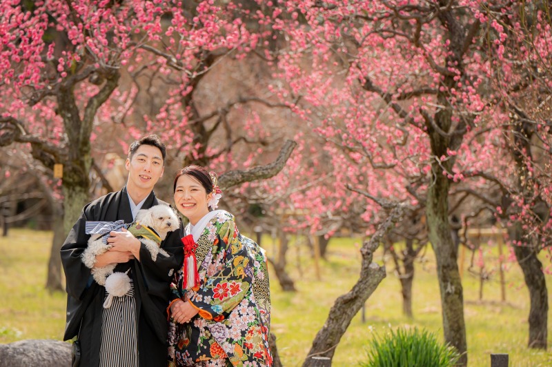 【直前割】3月25日までの撮影【新婦白無垢＆色打掛】　大阪城公園＆スタジオで撮影（差額無し）・撮影データ200枚付