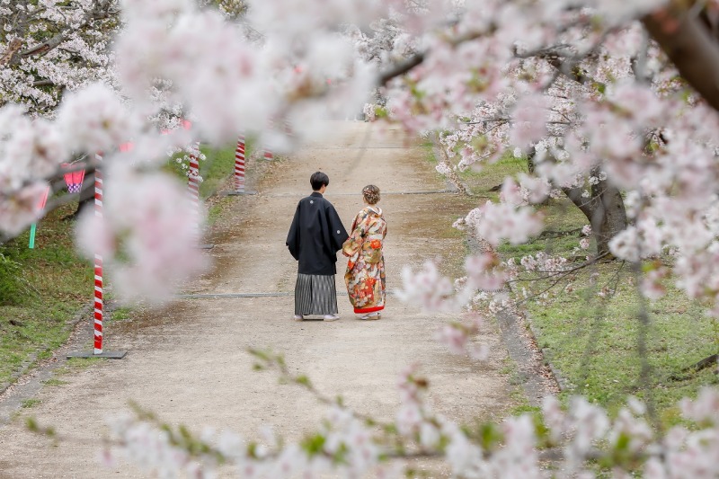大阪城【桜撮影】3月25日～４月１０日までの撮影　大阪城公園で撮影和装衣裳1着（差額無し）・撮影データ130枚付