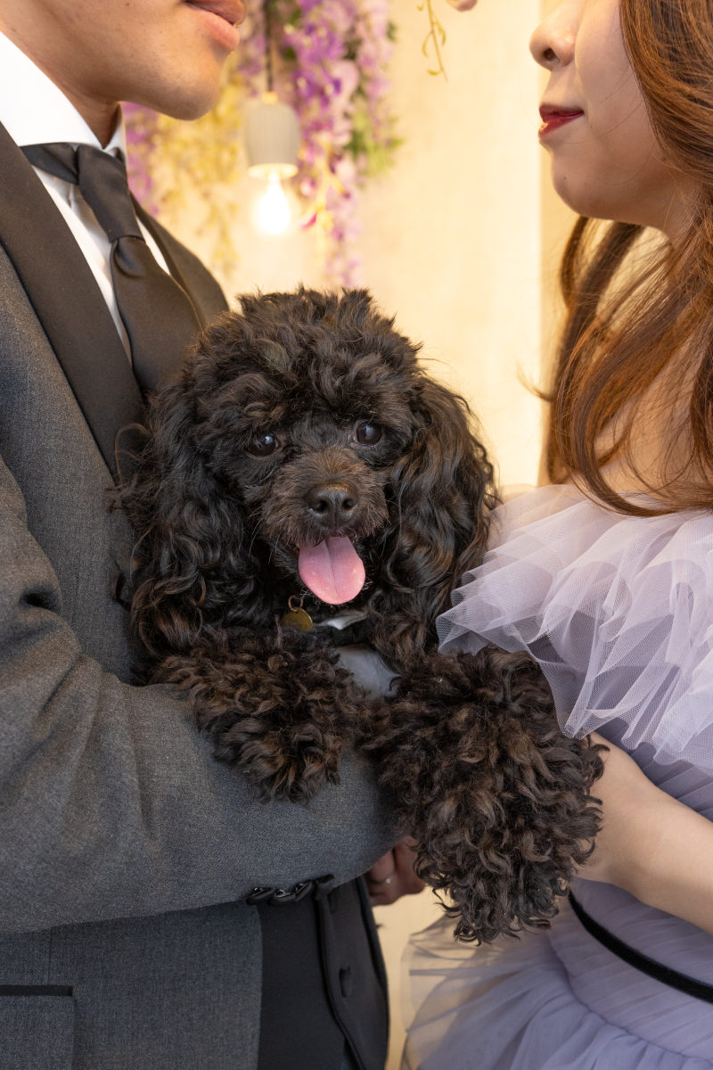 Photo Maison &eacute;crin 大宮店_家族・友人を撮影に呼べる