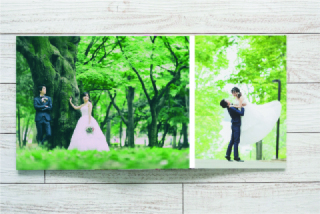 グラフィック(20ページ20カット)