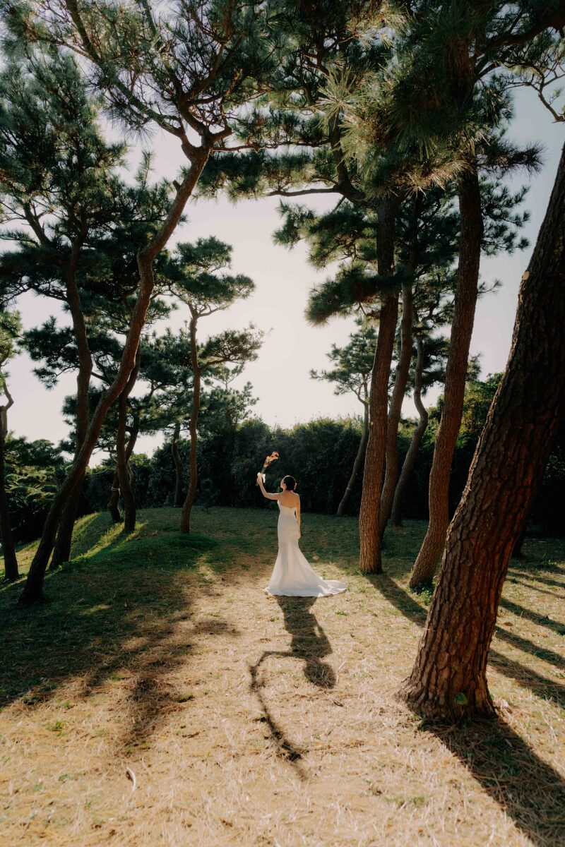 20以上ある撮影シーン