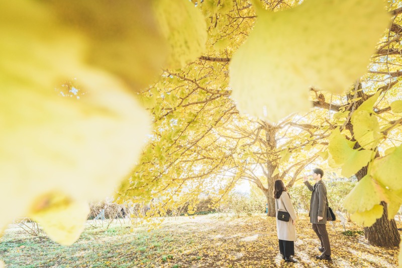 【城ヶ島】私服撮影で作るオープニング&プロフィールムービープラン*