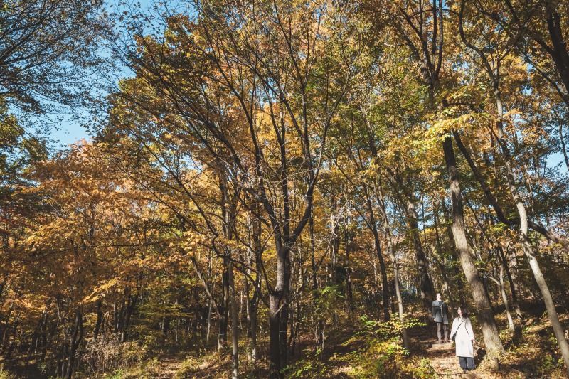 【城ヶ島】私服撮影で作るオープニング&プロフィールムービープラン*