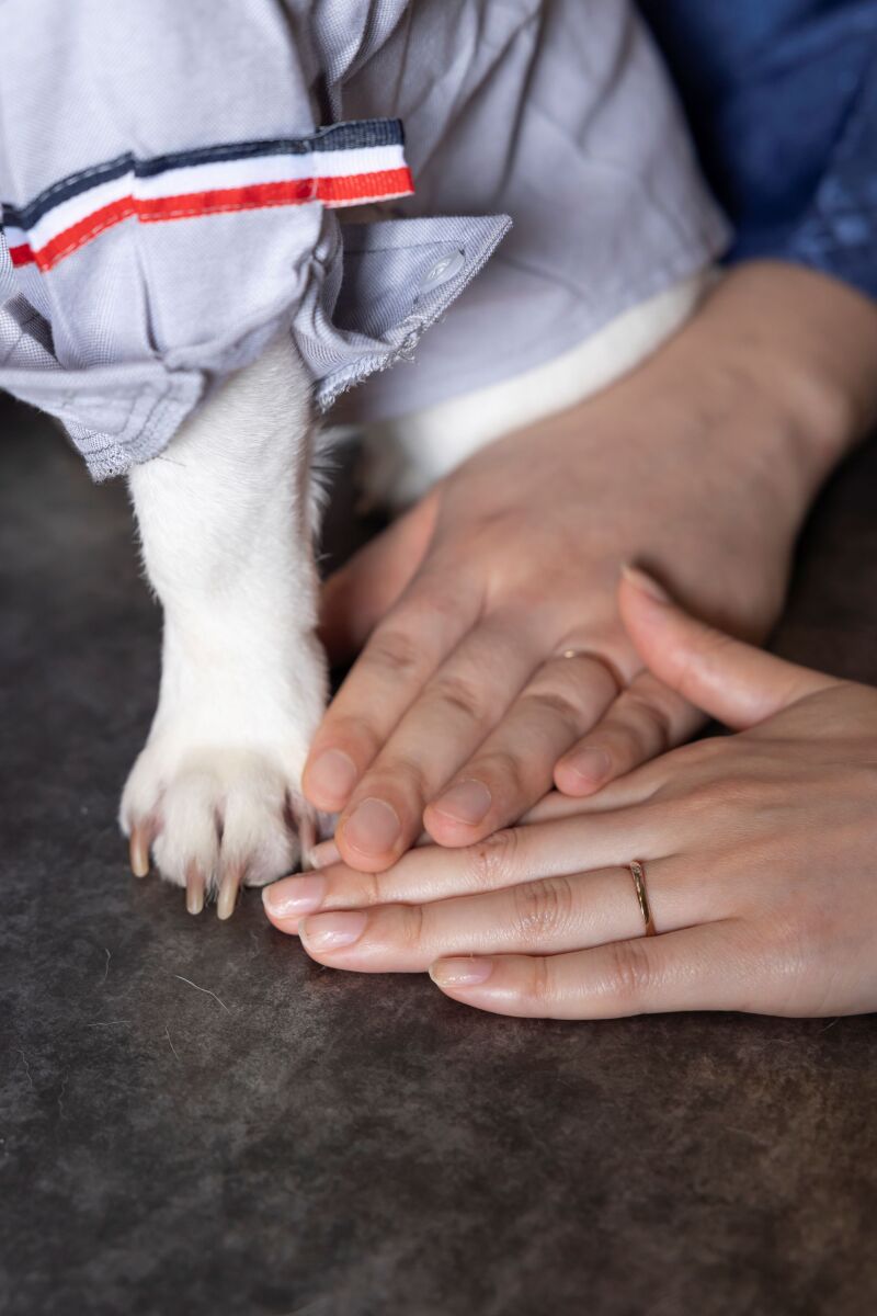 studio PHOTO PARK 横浜_ペットと一緒に撮影できる