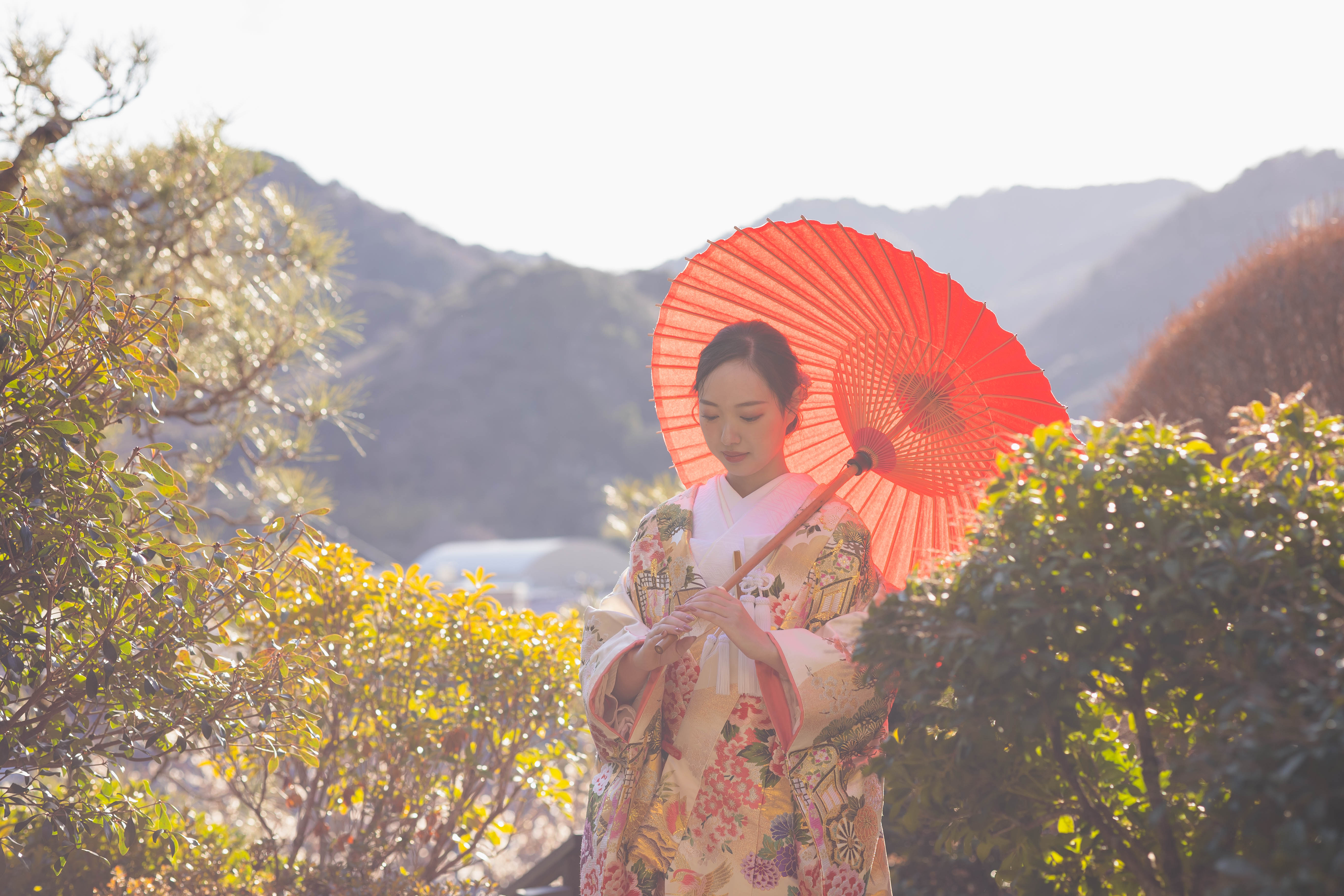 Point1 多彩な撮影シーン