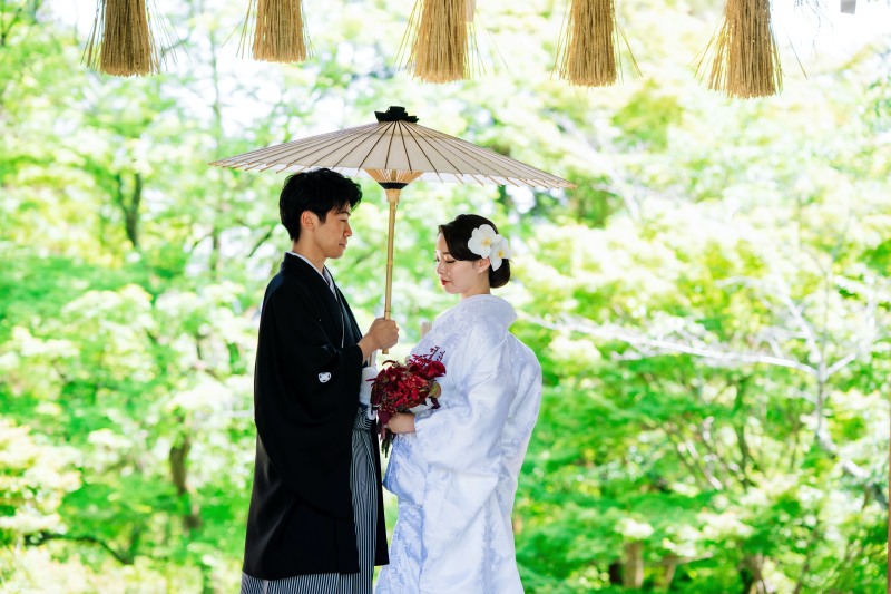 和傘と新緑が織りなす一枚