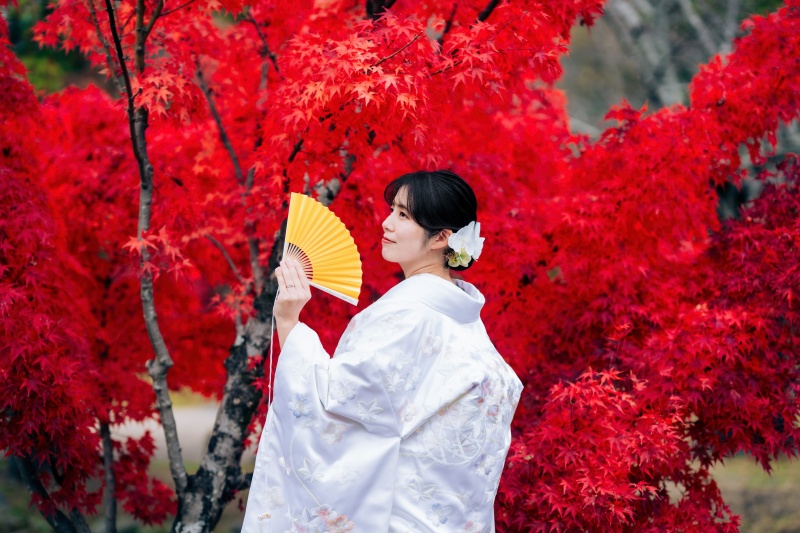 真紅の紅葉に映える白無垢姿