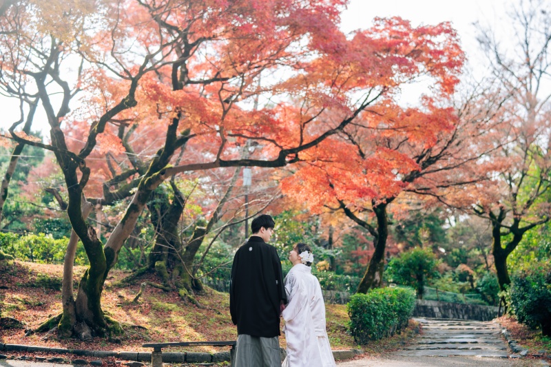 色鮮やかな紅葉に包まれた後ろ姿
