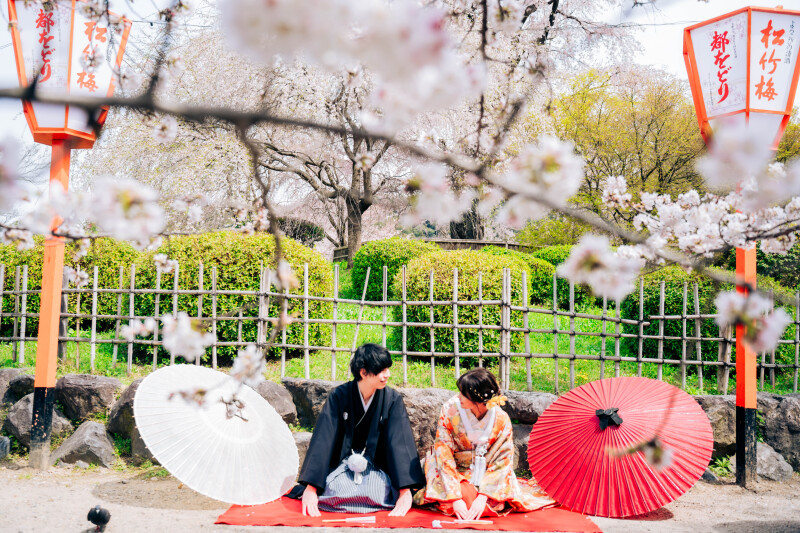 桜の下でのお座りポージング