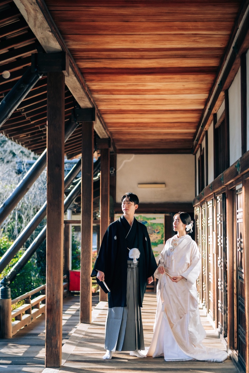 伝統の回廊に差し込む光の中で