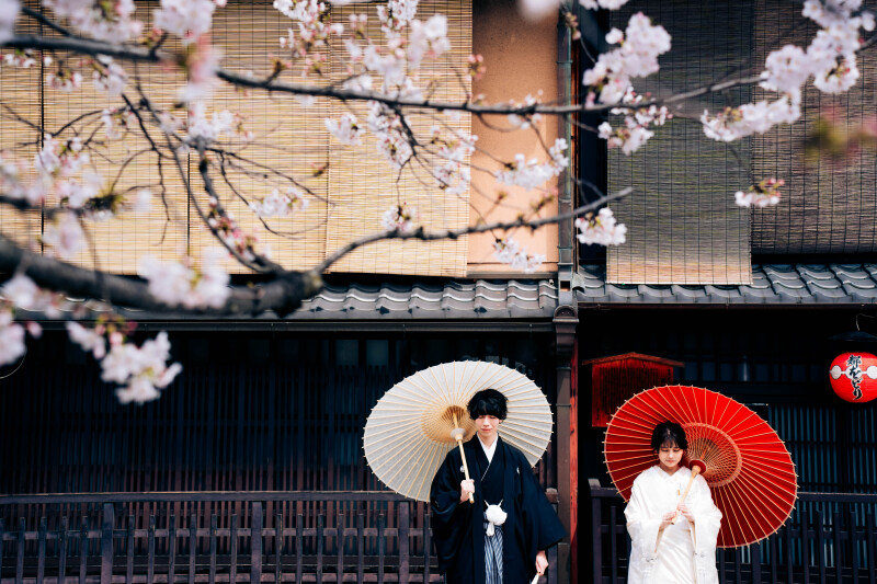 京都の町屋と桜を添えて
