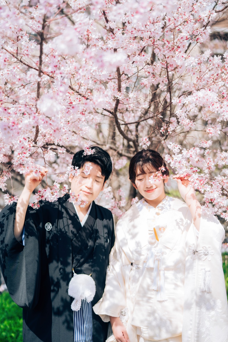 白無垢に掛け替えて、桜に包まれる祝福のとき