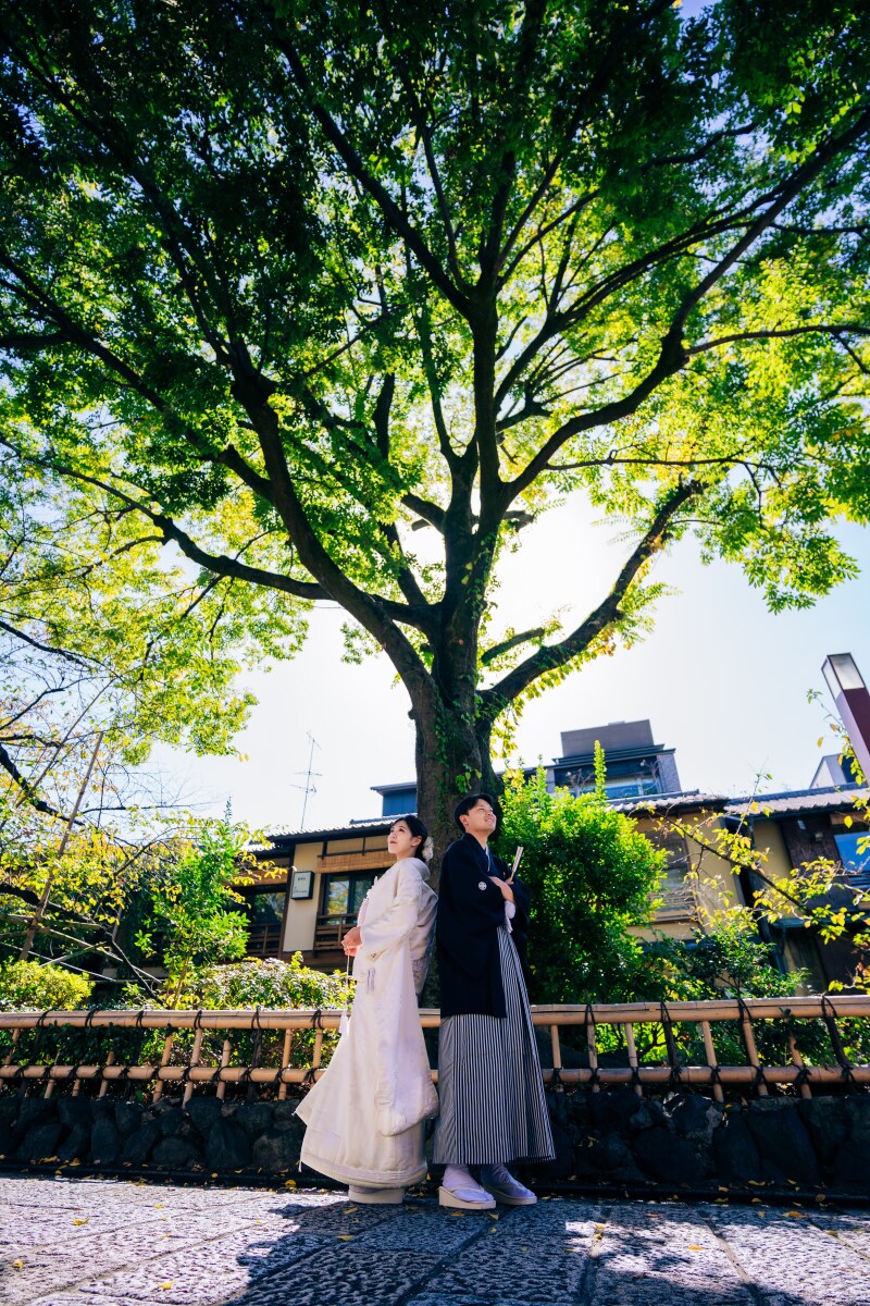 広角で大きな木と一緒に