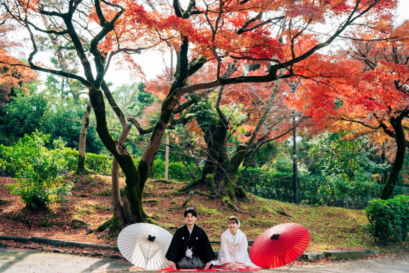 色鮮やかな紅葉に映える和傘の一枚