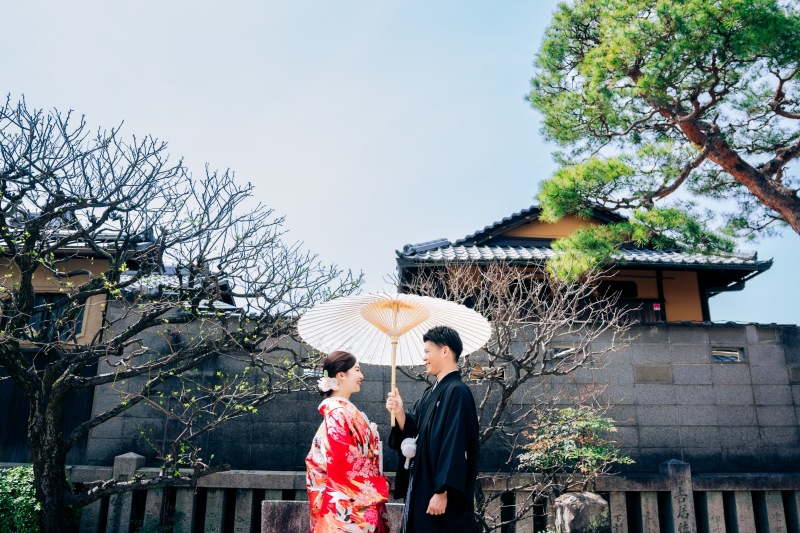 広角の画角で。梅の木と松の木と。