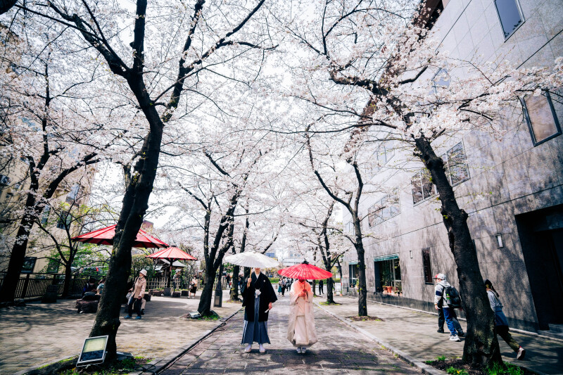 額縁に飾りたくなるの様な一枚に。