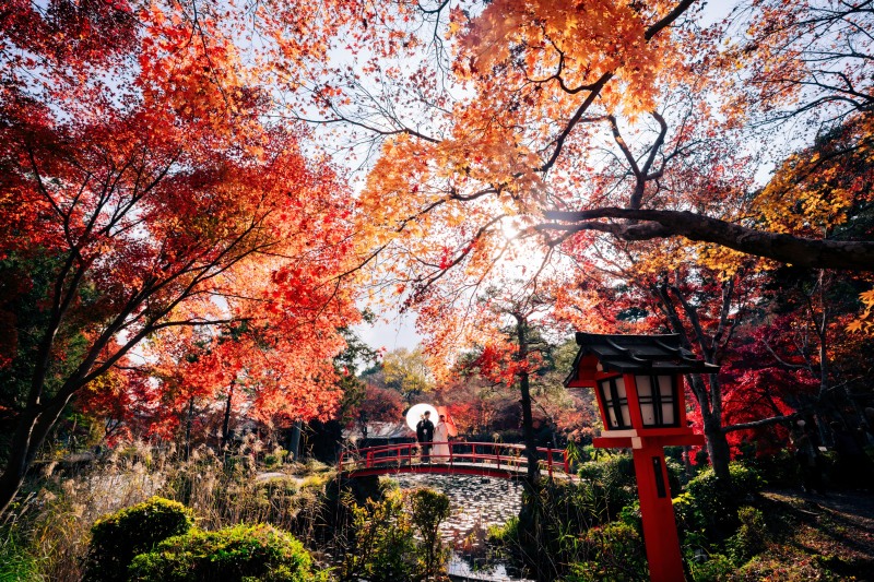 大原野神社、秋色に染まる庭園の中で
