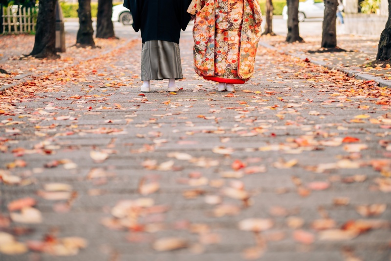 秋の並木道で、自然な一歩を
