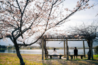 【映像セット】京都和装/滋賀洋装撮影プラン 〜春の桜一緒に〜