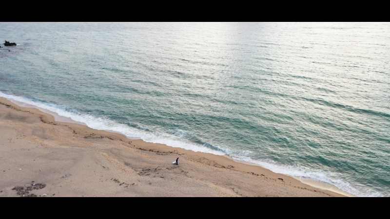 HERO group_ドローン撮影できる