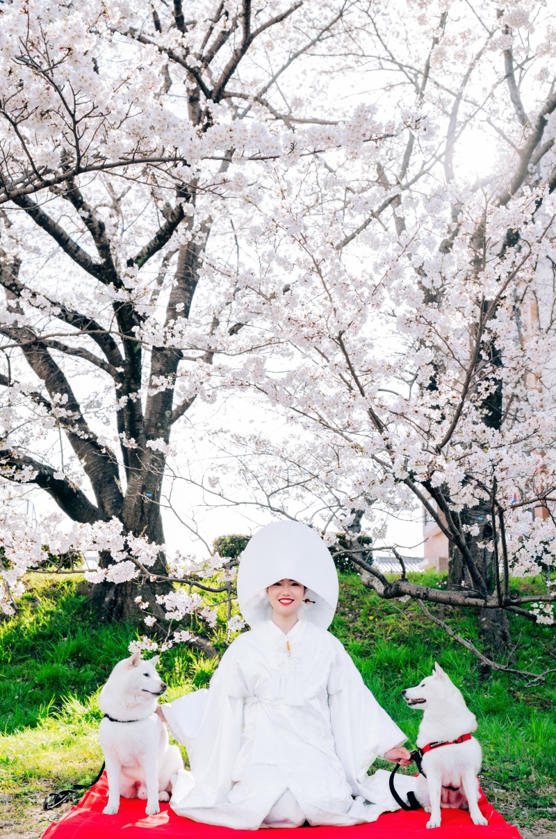 HERO group_ペットと一緒に撮影できる