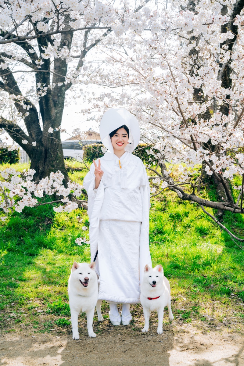 HERO group_ペットと一緒に撮影できる