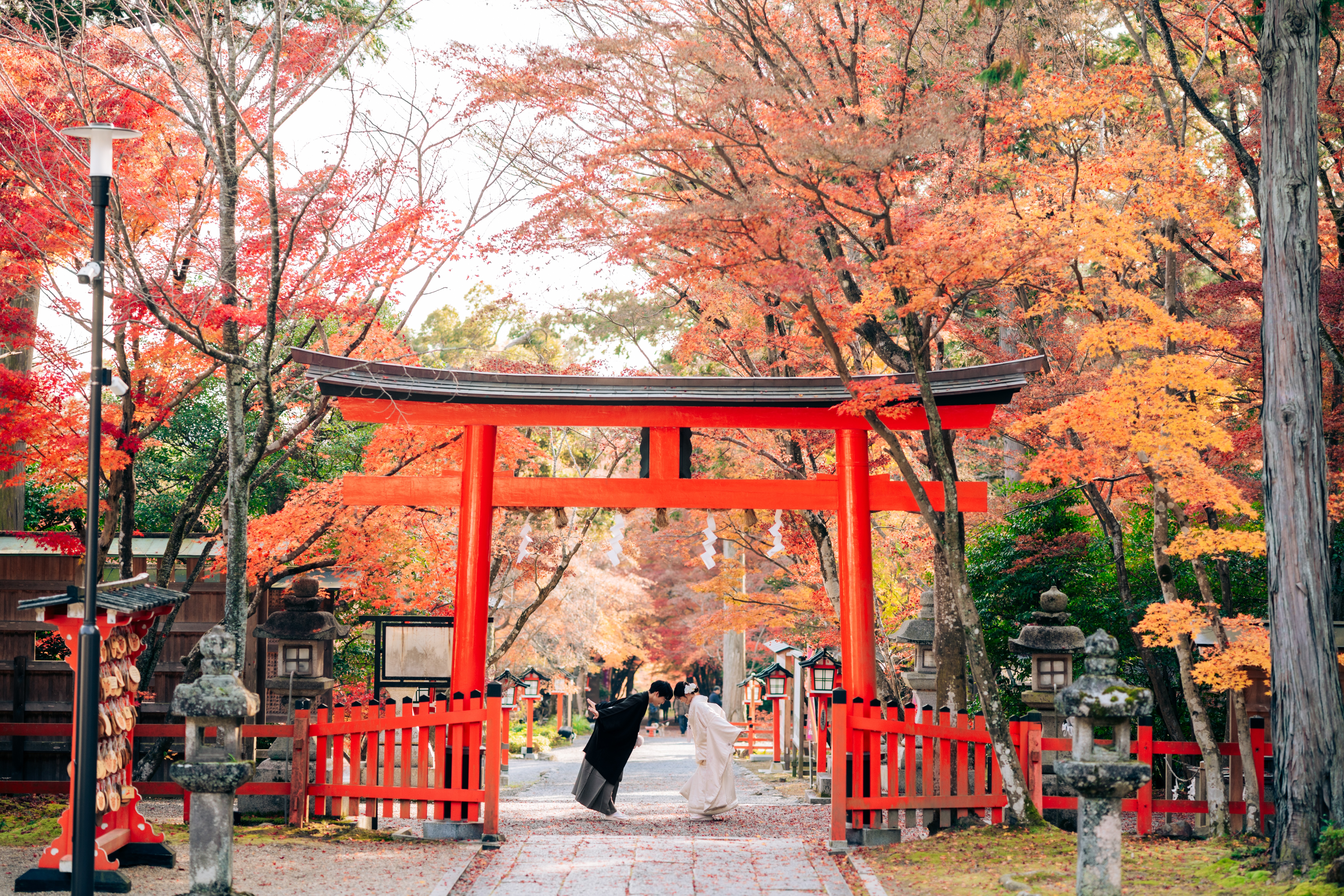 20以上ある撮影シーン