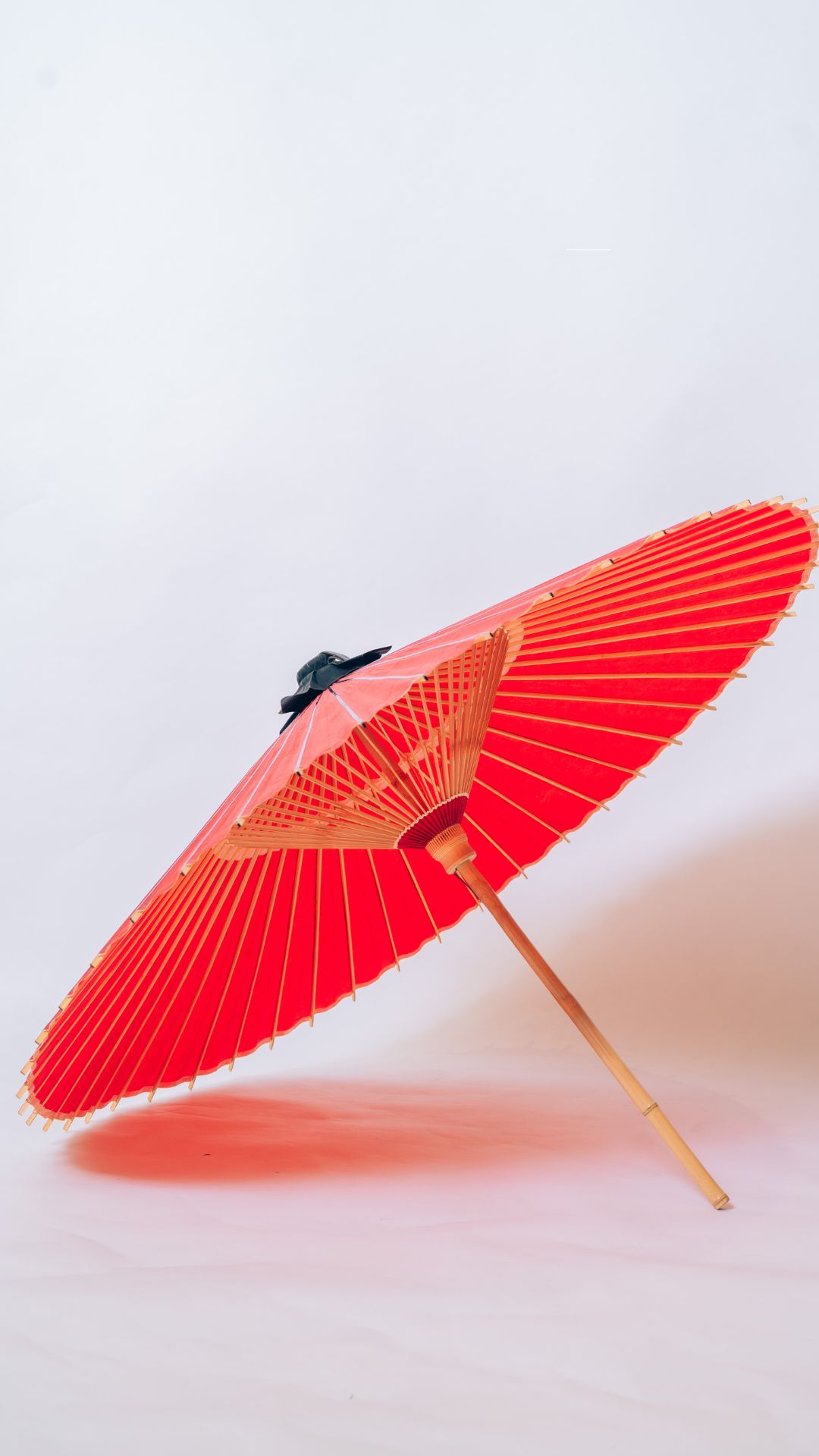 Point1 多彩な撮影シーン