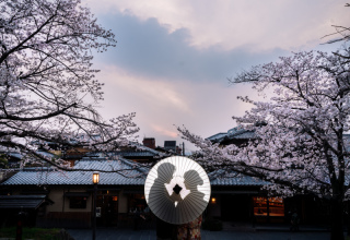 HERO group ヒーローグループ_【京都】東山八坂の塔