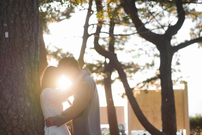 HERO group_格安プランがある(3万円以下)